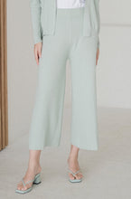 Load image into Gallery viewer, Juan Knitted Pants Mint
